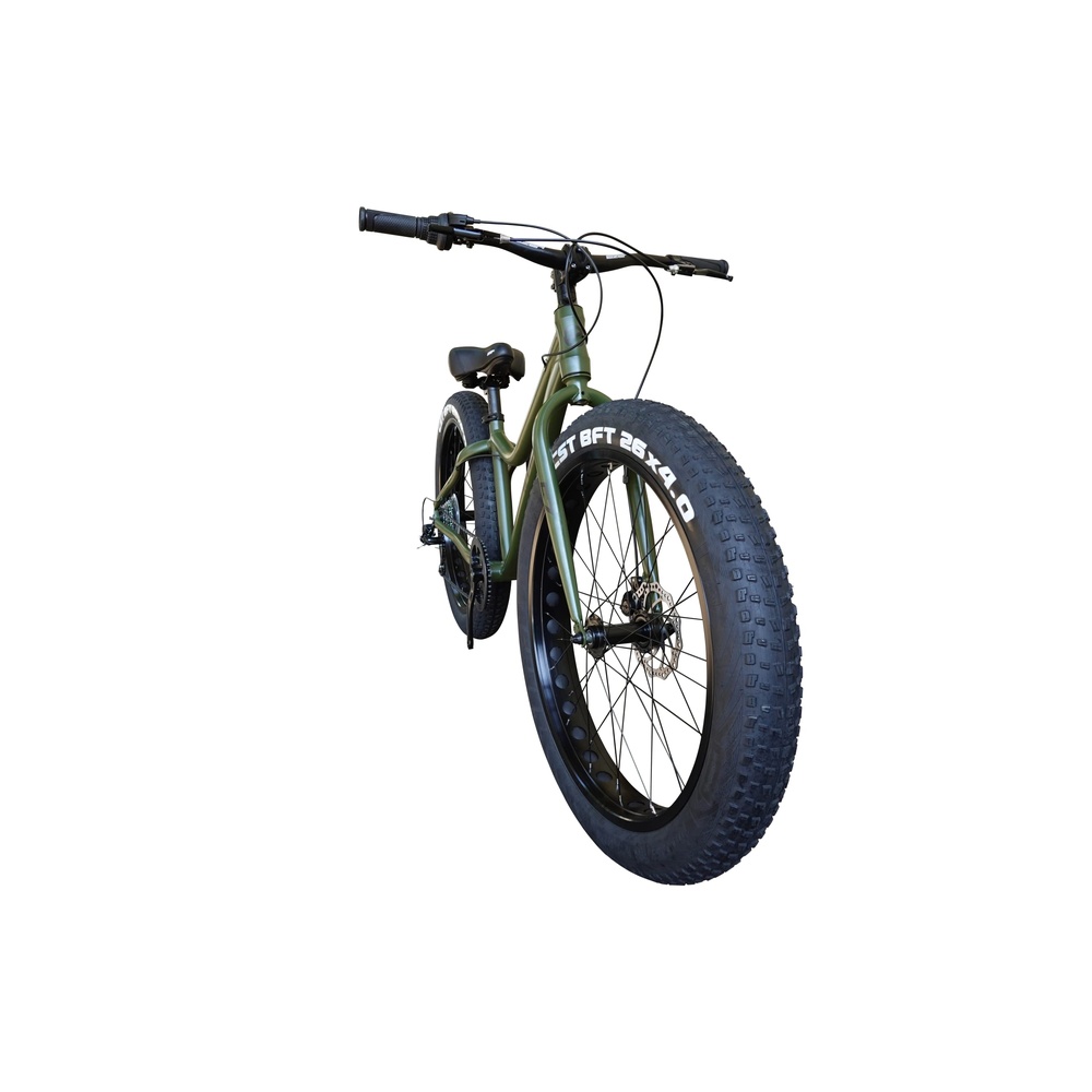 アイゼル(Eizer) ビーチクルーザー 【ファットバイク】迫力の極太タイヤ Wディスクブレーキ 軽量アルミフレーム 7段変速 26インチ26x4.0 スノーバイク FATBIKE F260